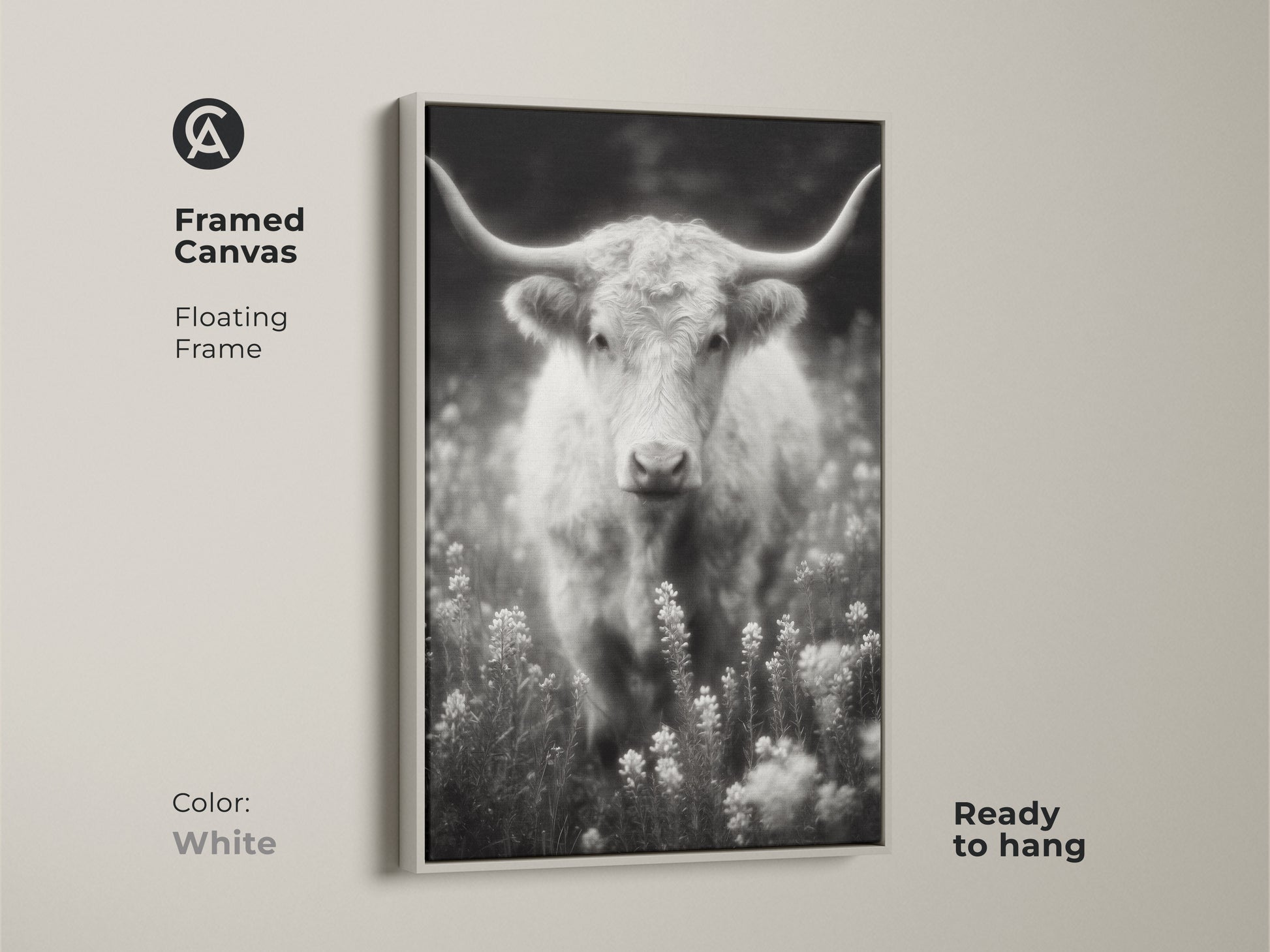 A white framed canvas print of a longhorn in a field. The black and white artwork is ready to hang. The floating frame offers a clean modern look. This fine art photograph is a versatile addition to your art collection.