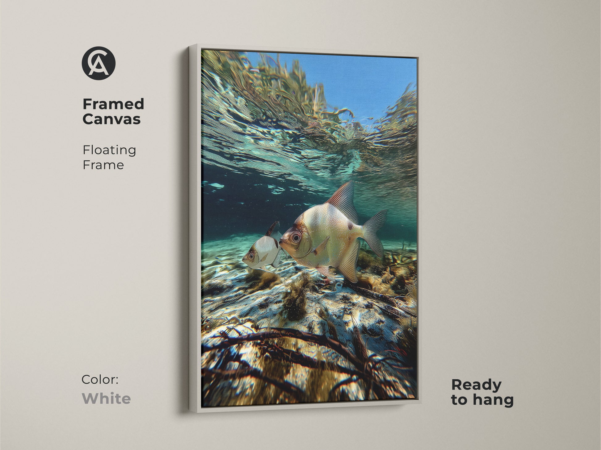 Framed canvas floating frame in white showcasing underwater fish. Coastal ocean canvas print is ready to hang. This blue teal aquatic artwork captures two fish swimming in shallow water. Ideal for modern coastal art.