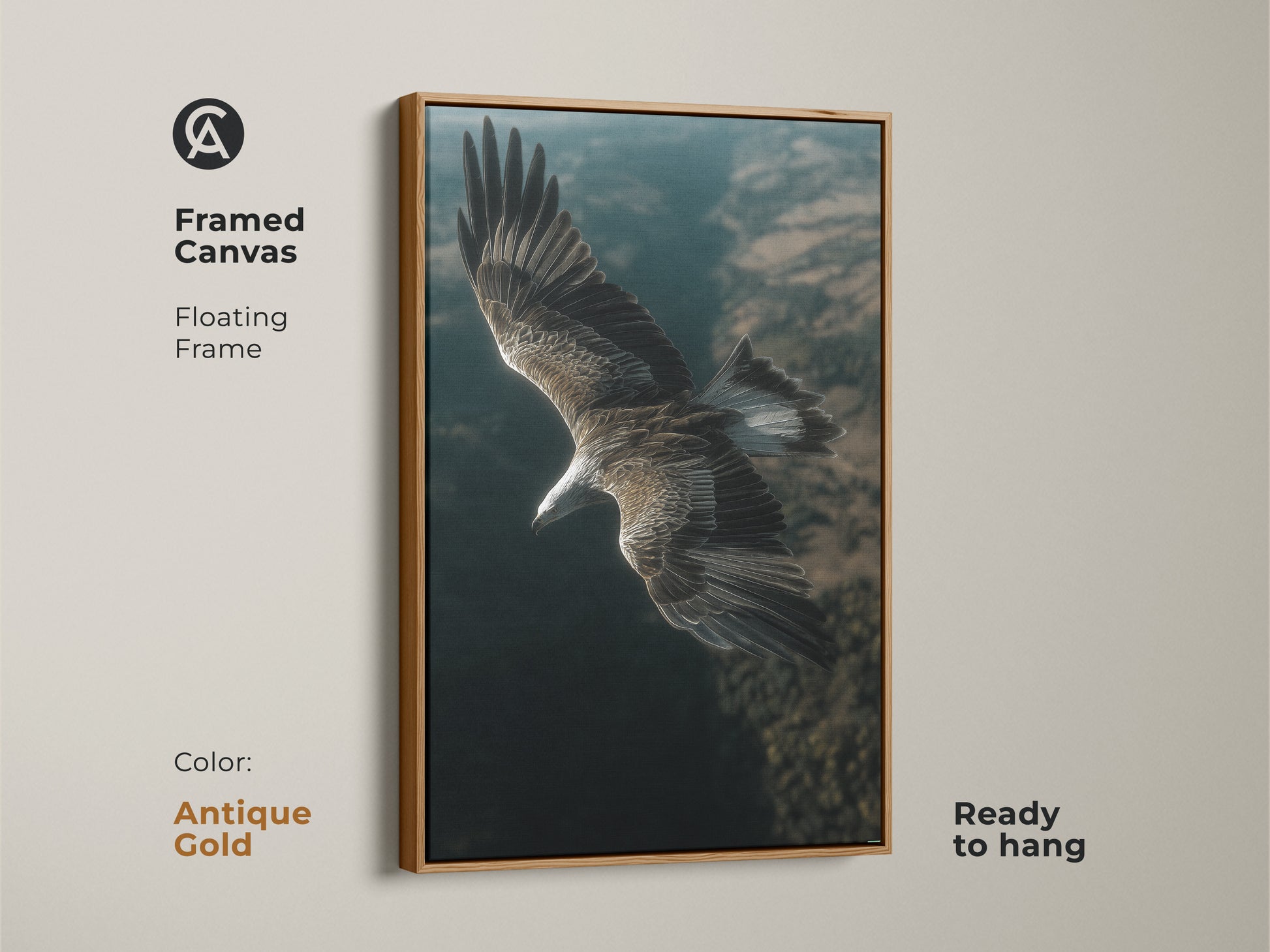 Framed canvas artwork of an eagle in flight. Antique gold floating frame adds a touch of elegance. Ready to hang and display. This realistic bird of prey print is stunning nature wall decor. A fine art bird painting.