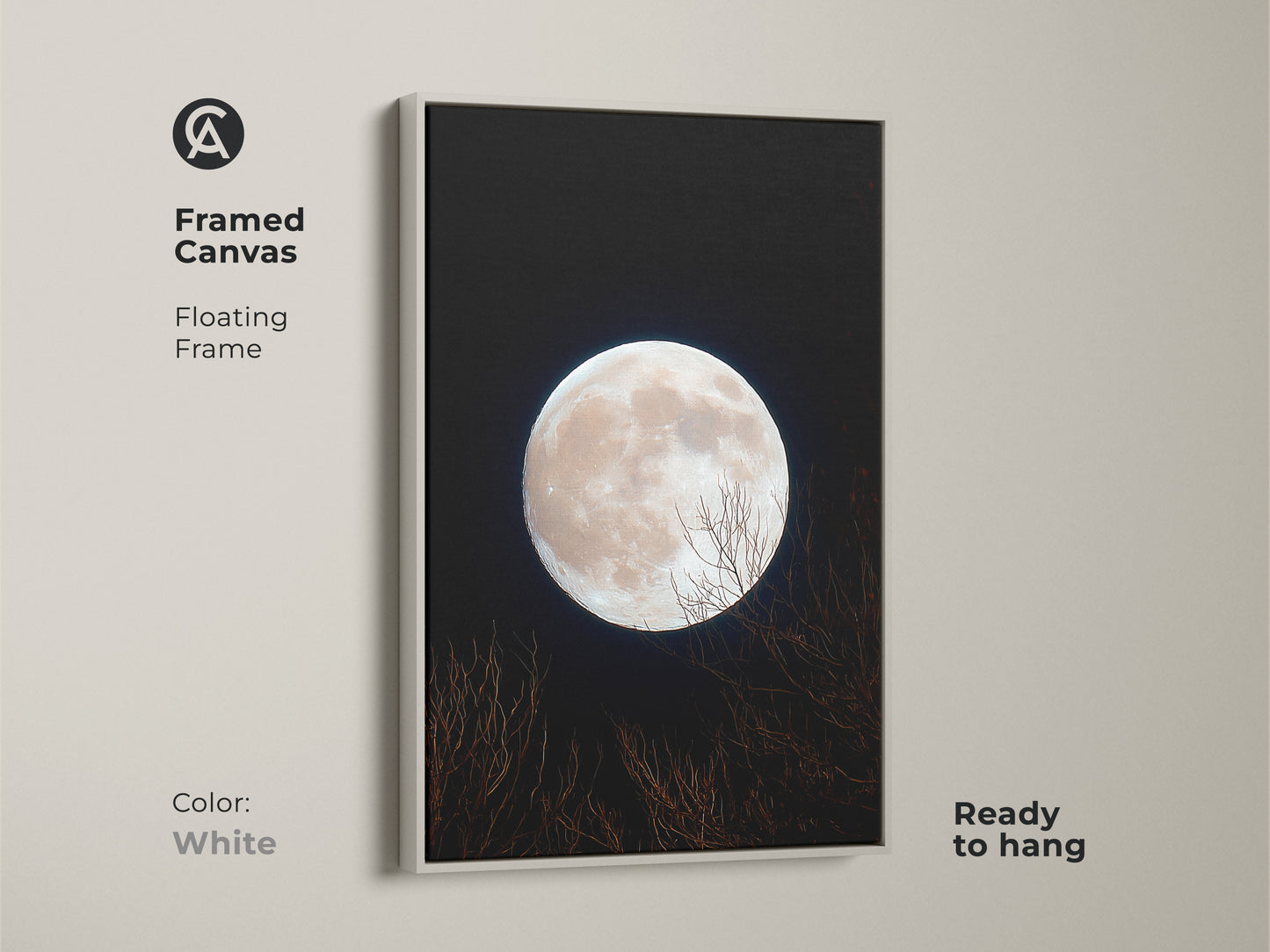 A framed canvas print of a full moon. The floating frame is white. This moon art is ready to hang. The pale moon contrasts with the dark night. Bare branches add a natural feel to the artwork.