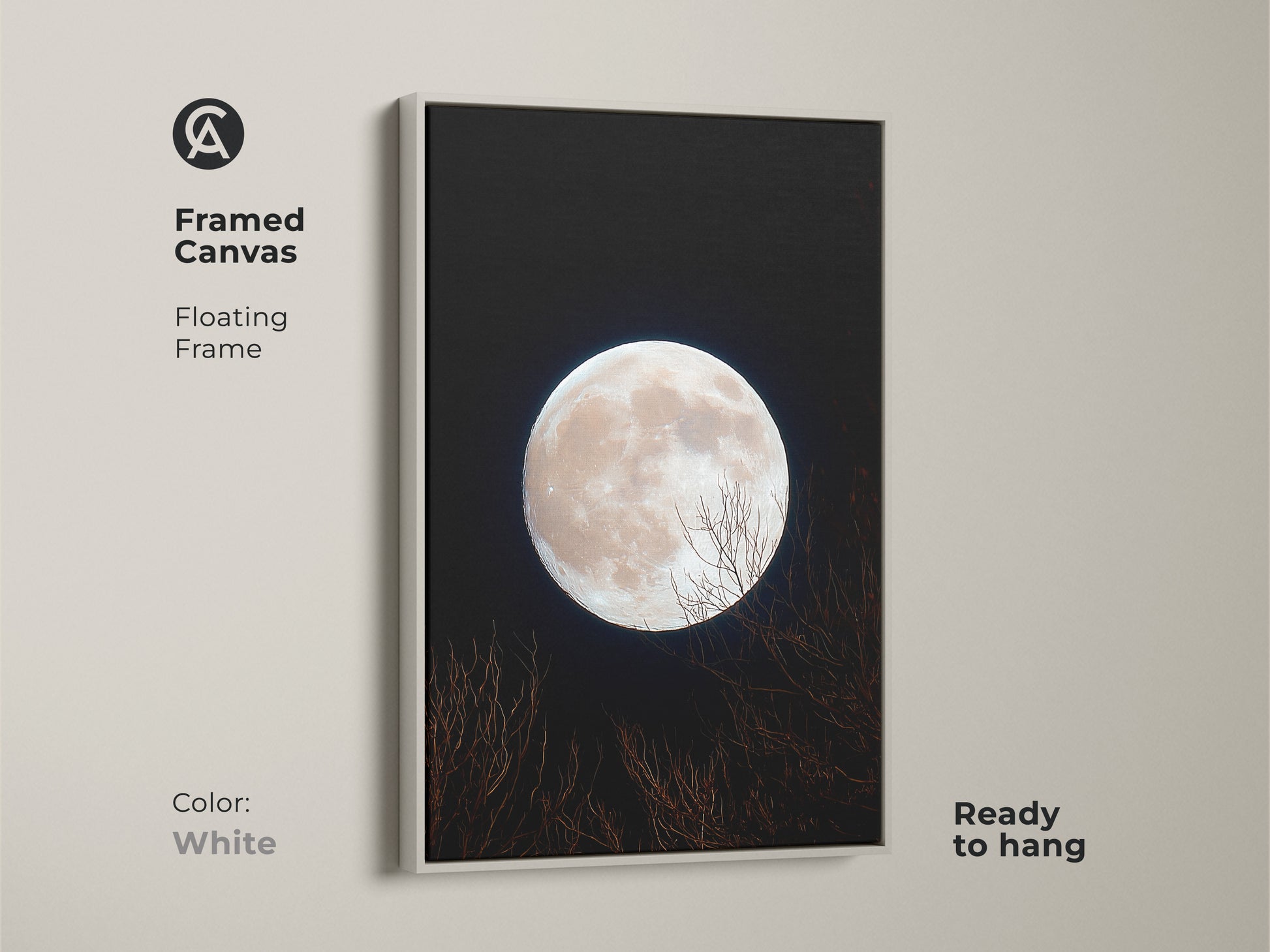 A framed canvas print of a full moon. The floating frame is white. This moon art is ready to hang. The pale moon contrasts with the dark night. Bare branches add a natural feel to the artwork.