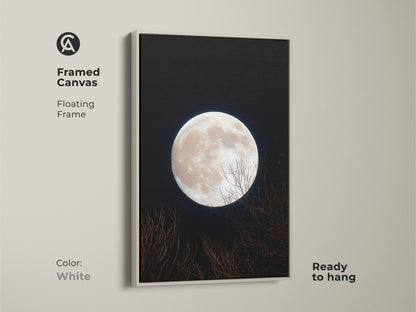 A framed canvas print of a full moon. The floating frame is white. This moon art is ready to hang. The pale moon contrasts with the dark night. Bare branches add a natural feel to the artwork.