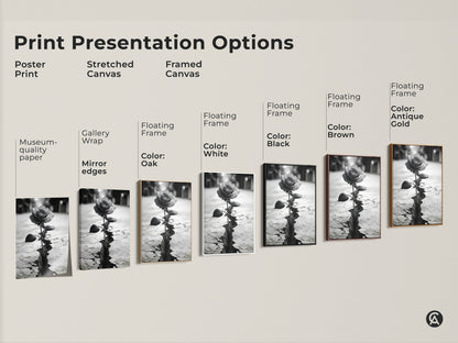 Print presentation options for monochrome rose art. Poster print stretched canvas and framed canvas choices. Each features a rose blooming from cracked ground. A symbolic nature print perfect for contemporary bedroom art. Ideal as a housewarming gift or for adding modern surrealist decor.