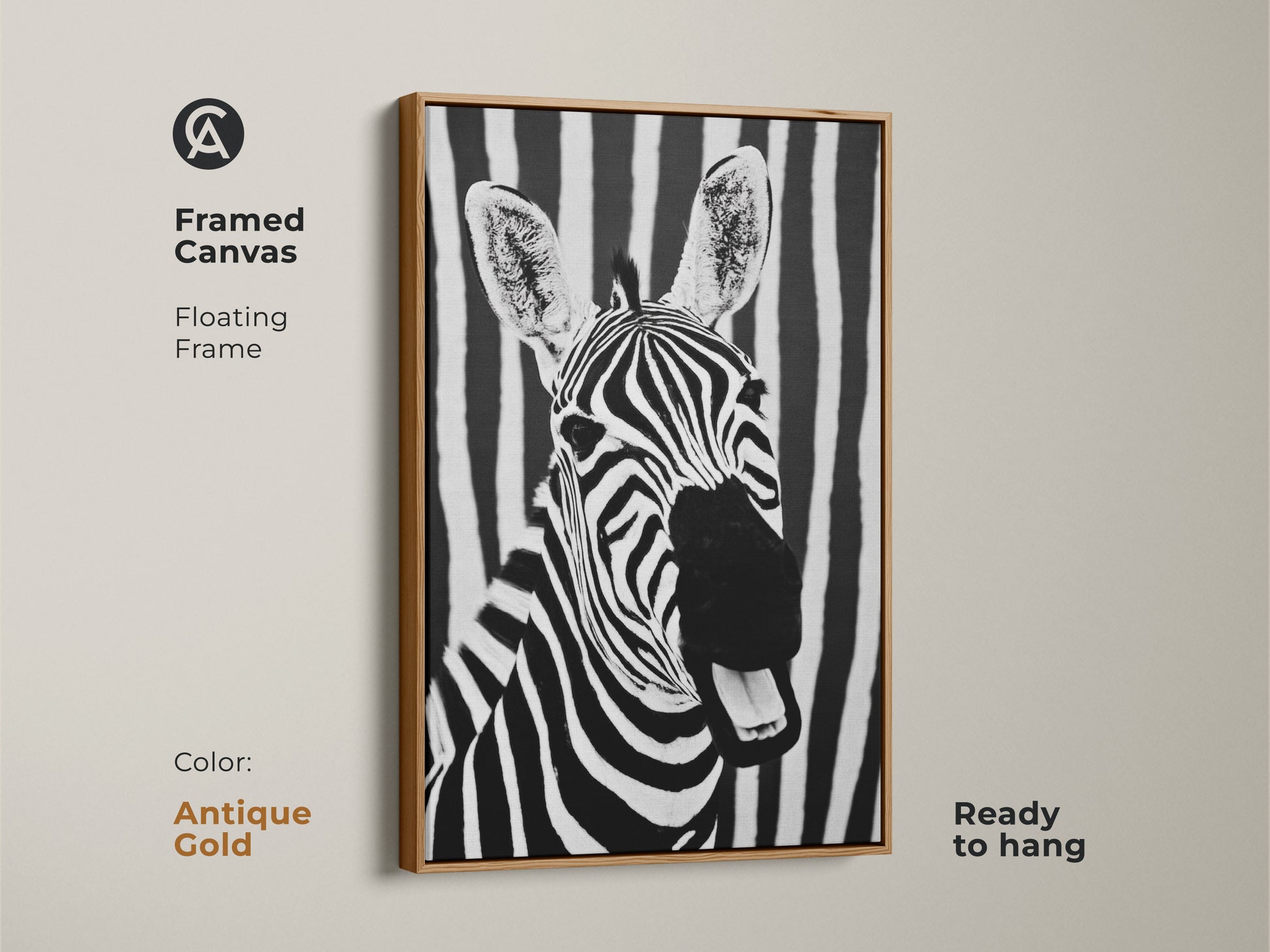 Antique Gold framed canvas with zebra art. This floating frame emphasizes the monochrome zebra portrait. Ready to hang this modern animal print adds a touch of minimalist wildlife decor to any space. The bold stripes create a captivating look.