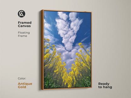 Framed canvas in antique gold. Showcases yellow canola field artwork. The floating frame adds elegance. Blue sky and clouds create a serene scene. Ready to hang this nature landscape artwork brings natural beauty to any room.