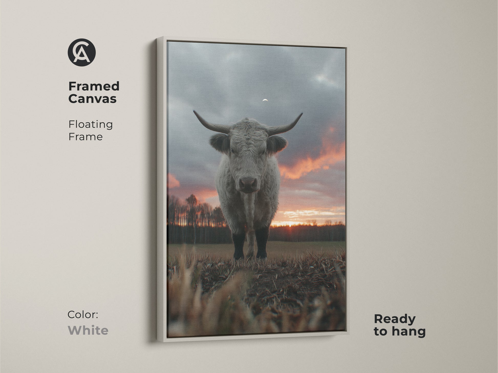 White framed canvas art print featuring a Highland cow. This farmhouse artwork offers a clean modern look. Ready to hang animal wall decor complements any room. Ideal for those who love country living and nature. A soft grey cow in a sunset landscape.