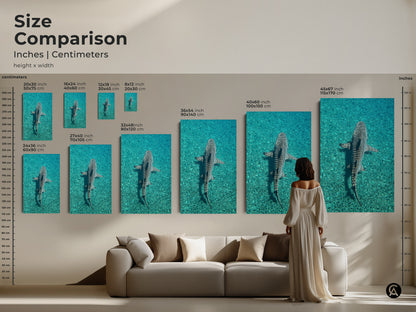 Size comparison of shark artwork in inches and centimeters showcased above a sofa. Visualize various sizes for your coastal wall decor canvas and poster options. This teal blue shark print brings an underwater wildlife scene. Perfect gift for ocean lovers and shark themed decor enthusiasts. Oceanic wildlife decor complements coastal and wildlife themes.