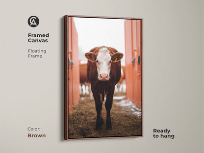 Framed canvas showcasing farmhouse cow artwork with a floating brown frame. The ready-to-hang print adds country charm. Its brown and white farm animal aesthetic is great for rustic decor.