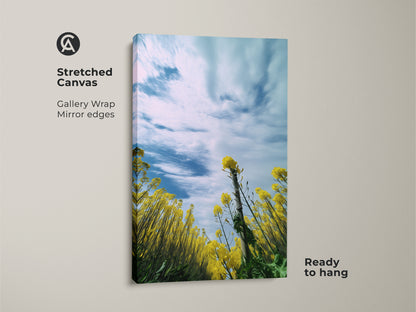 Stretched canvas print of a blooming yellow canola field with a blue sky. The gallery wrap and mirror edges add a modern touch. This spring landscape wall art is ready to hang. Bring the beauty of nature indoors with this vibrant floral canvas. Perfect boho bedroom wall decor.