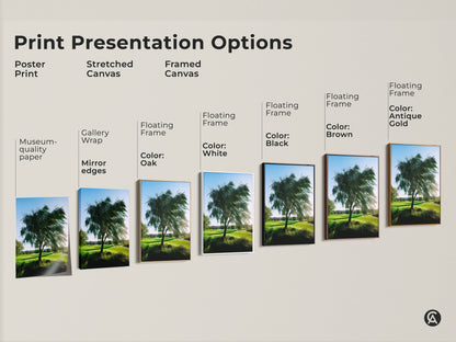 Explore presentation options for golf course landscape artwork. Choose from poster prints stretched canvas or framed canvas. Museum-quality paper gallery wrap and floating frames are available.