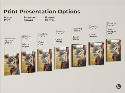 Various print presentation options. Golf equipment artwork. Options include poster print stretched canvas and framed canvas. Floating frame options include black brown antique gold and white frames. Buy golf art today.