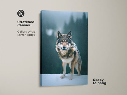 Stretched canvas wolf print for wildlife lovers. Ready to hang this gallery-wrapped artwork showcases a photorealistic wolf in its natural habitat. The mirror edges enhance the forest animal art. This brown gray teal art brings a touch of rustic charm to any room.