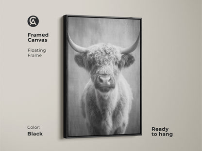 Black framed canvas featuring a monochrome highland cow. This floating frame enhances the photorealistic cow art. Ready to hang this Scottish cattle canvas art complements bedroom wall art. A rustic animal artwork.