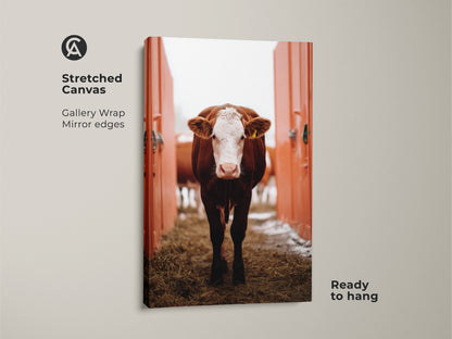 Stretched canvas of a rustic farmhouse cow artwork. Gallery wrap with mirror edges is ready to hang. Brown and white farm animal artwork brings a touch of country to your home.