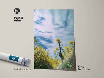 Poster print of an impressionistic yellow canola field art. This museum-quality paper print is easy to frame. Featuring blooming yellow flowers and a blue sky this spring landscape wall art is perfect as a gift. Rolled in a tube for protection. Add a touch of nature to your home.