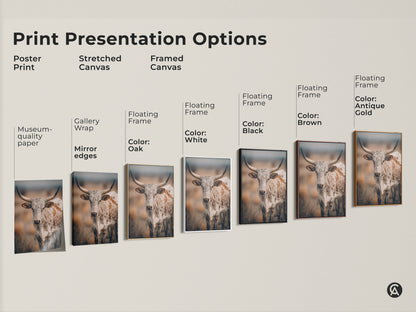 Explore print presentation options with Longhorn Cow artwork. Choose from poster print stretched canvas or framed canvas. Each format enhances the Texas wildlife art. Find the perfect rustic farmhouse wall art for your home decor. Select your preferred style today.