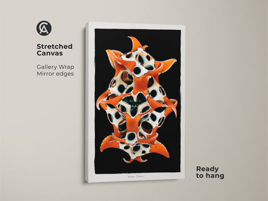 Stretched Canvas showcasing surreal biomorphic sculpture artwork. Orange black white art print. Abstract organic forms create a contemporary starfish wall art. Perfect as modern art for entry hall. Unique home decor art