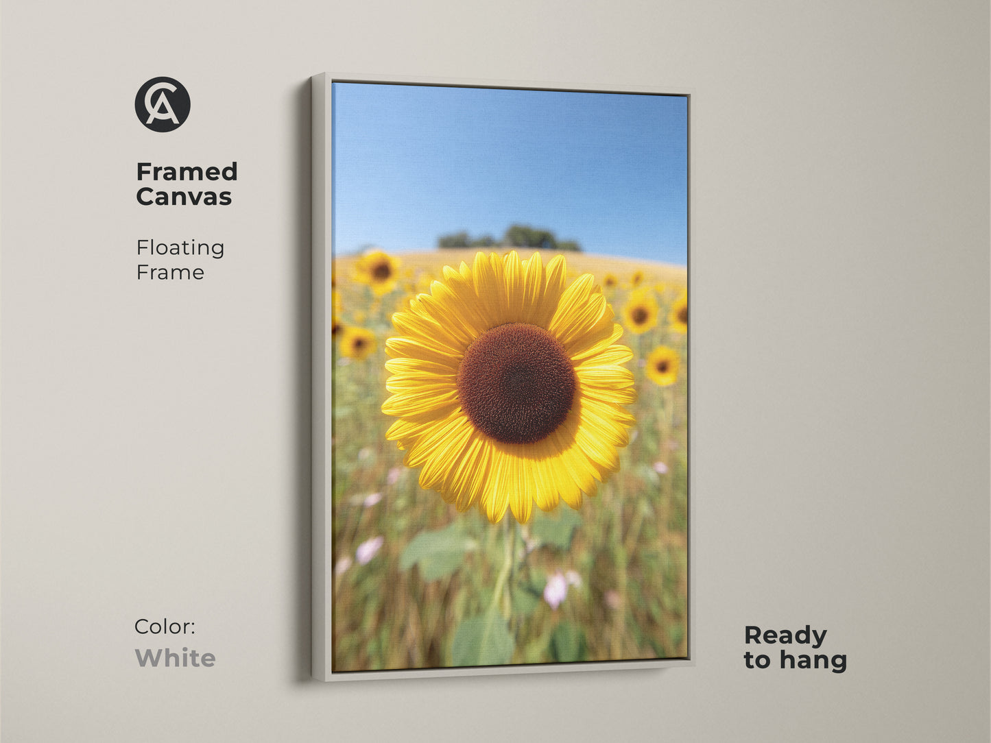 Framed canvas with a floating frame showcases a sunflower field artwork. The white frame enhances the modern farmhouse appeal of this floral print. Ready to hang this nature inspired artwork brings a sunny summer day indoors. Perfect as a gift for grandma.