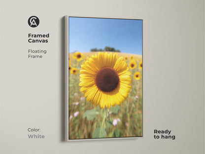 Framed canvas with a floating frame showcases a sunflower field artwork. The white frame enhances the modern farmhouse appeal of this floral print. Ready to hang this nature inspired artwork brings a sunny summer day indoors. Perfect as a gift for grandma.
