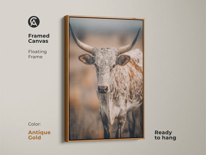 Framed canvas print of a Longhorn Cow. This Texas wildlife artwork features a floating frame with an antique gold finish. It is ready to hang. The rustic farmhouse style adds warmth to any room. This print is a perfect accent for country homes.