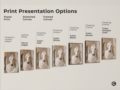 Explore print presentation options for farmhouse white horse artwork. Choose from poster prints stretched canvas or framed canvas. Select museum quality paper or gallery wrapped edges.
