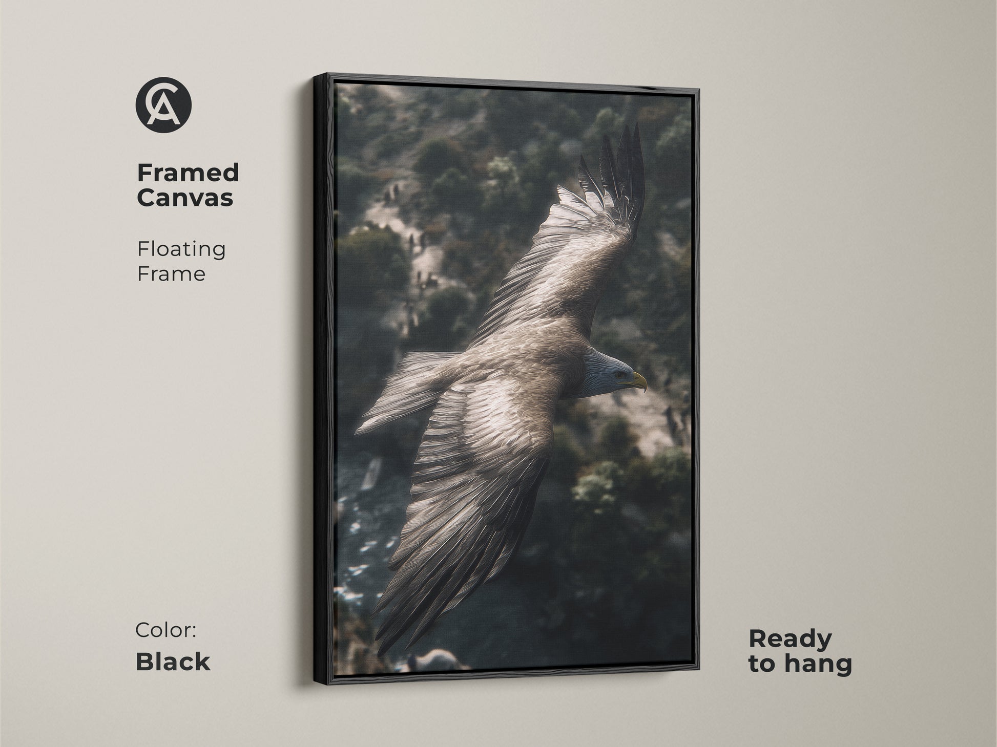 Framed canvas art of an eagle flying over a mountain landscape. The floating frame is black. This wildlife bird of prey artwork is ready to hang and is perfect residential wall decor.