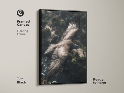 Framed canvas art of an eagle flying over a mountain landscape. The floating frame is black. This wildlife bird of prey artwork is ready to hang and is perfect residential wall decor.