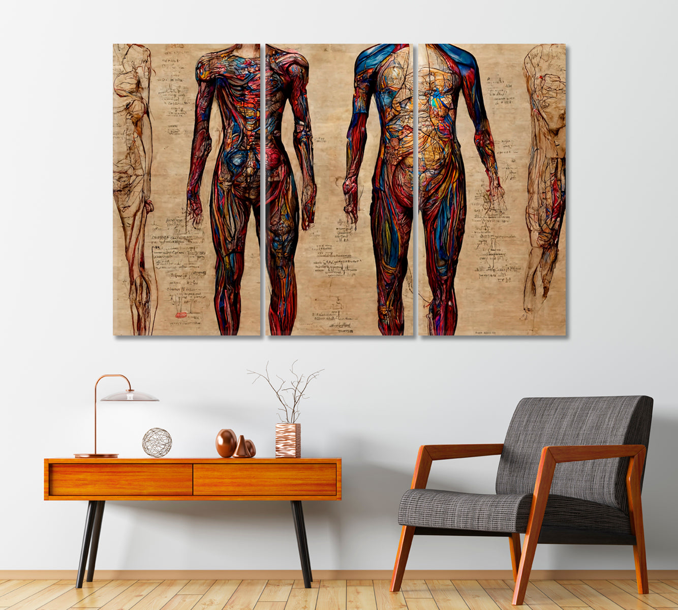 Human Anatomy Canvas Print-Canvas Print-CetArt-1 Panel-24x16 inches-CetArt