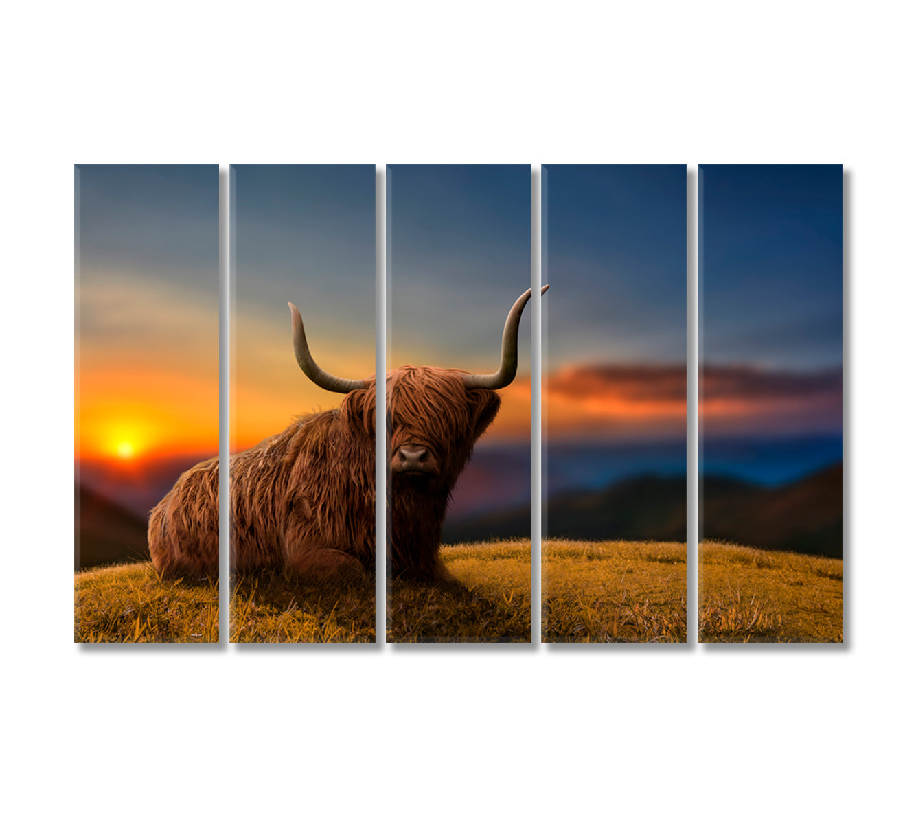 Beautiful Highland Cattle Home Art Decor-Canvas Print-CetArt-5 Panels-36x24 inches-CetArt
