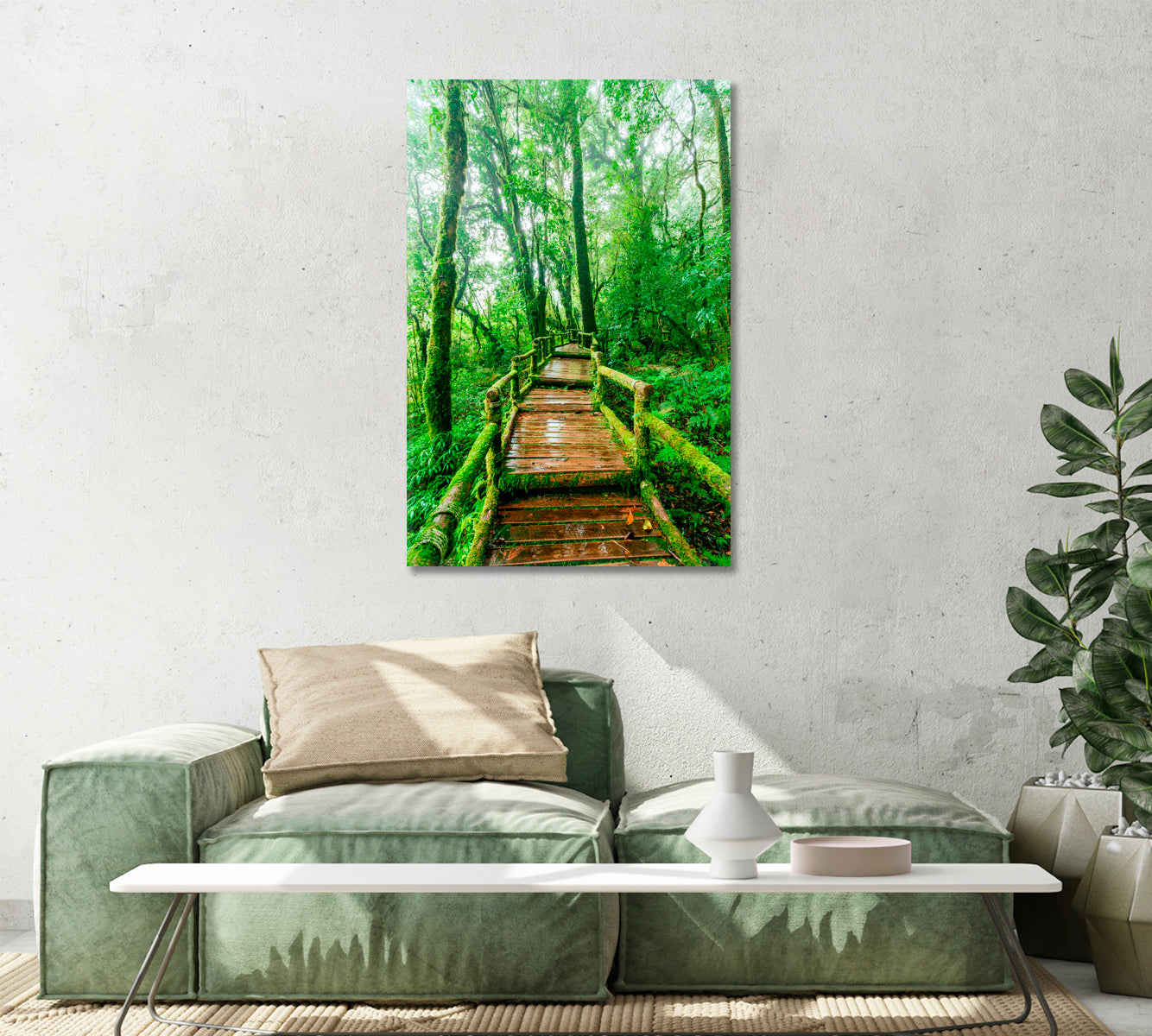 Beautiful Rain Forest Trail Canvas Print-Canvas Print-CetArt-1 panel-16x24 inches-CetArt