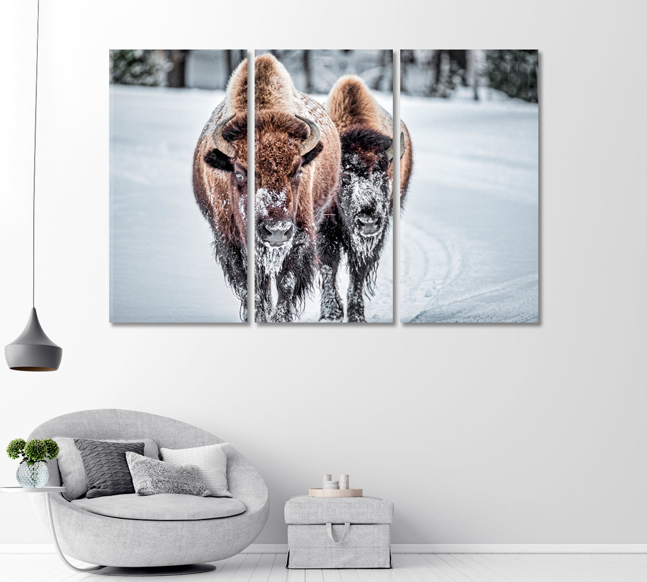 Bison in Winter Print Canvas Art-Canvas Print-CetArt-1 Panel-24x16 inches-CetArt