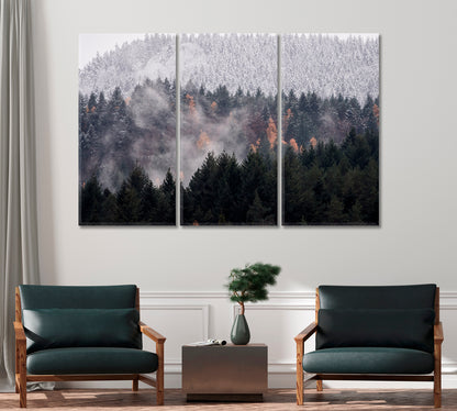 Black Forest Canvas for Wall Decoration-Canvas Print-CetArt-1 Panel-24x16 inches-CetArt