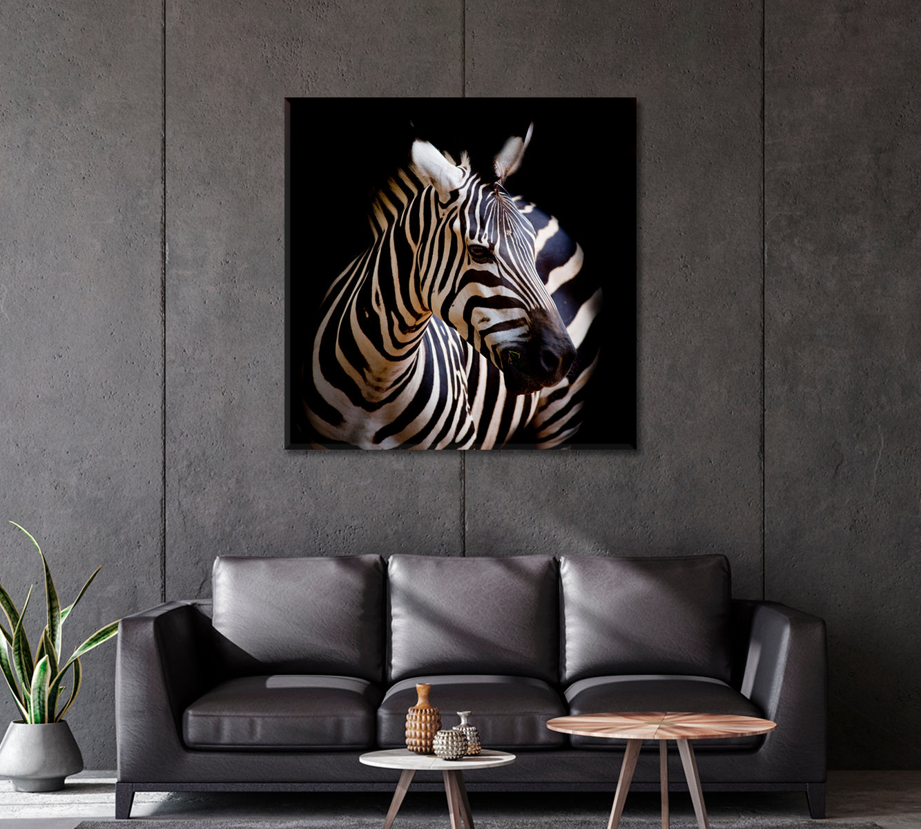 Burchell Zebra Wall Art Decor-Canvas Print-CetArt-1 panel-12x12 inches-CetArt