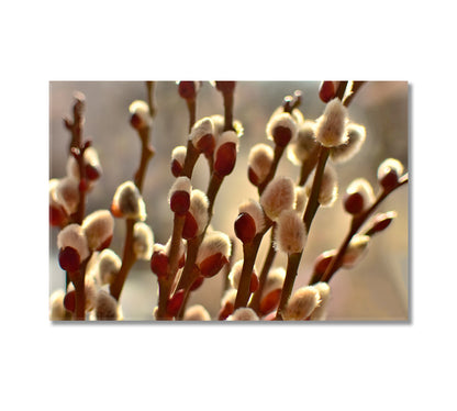 Willow Branches Wall Canvas Art Print-Canvas Print-CetArt-1 Panel-24x16 inches-CetArt