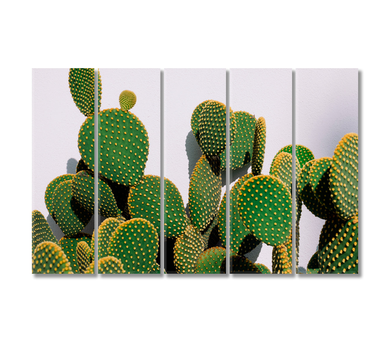 Bunny Ear Cactus Wall Decor Canvas-Canvas Print-CetArt-5 Panels-36x24 inches-CetArt