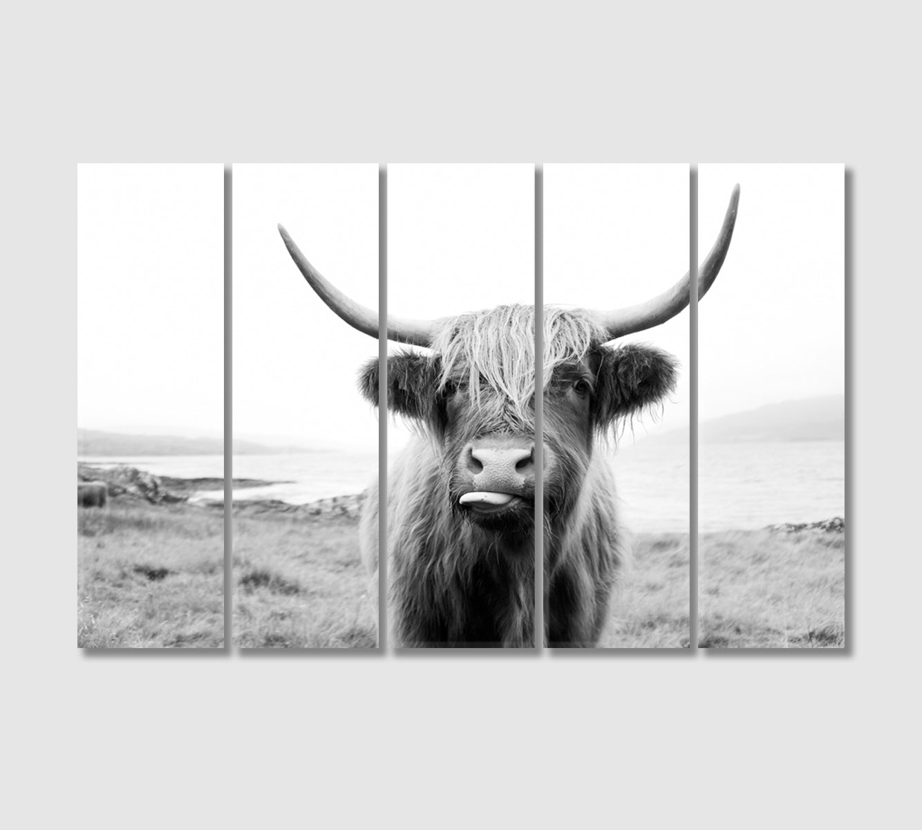 Funny Highland Cow Wall Art Decor-Canvas Print-CetArt-5 Panels-36x24 inches-CetArt