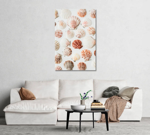Neutral seashells on white canvas
