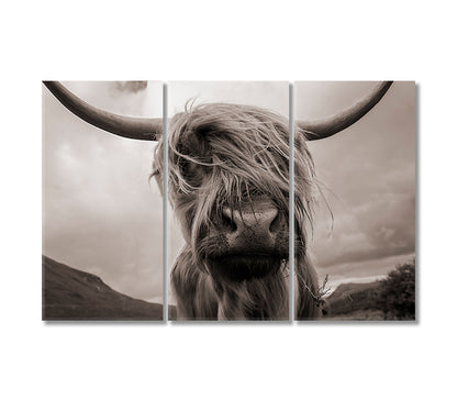 Highland Cow Black White Wall Art-Canvas Print-CetArt-3 Panels-36x24 inches-CetArt