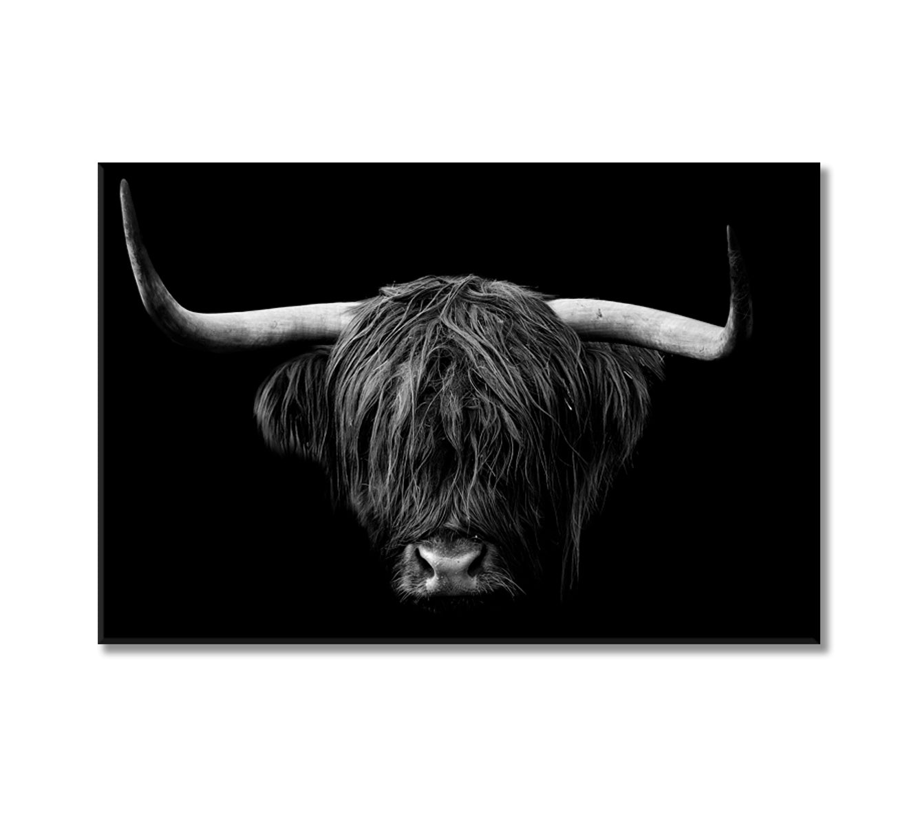 Highland Cow Standing Portrait Canvas Print-Canvas Print-CetArt-1 Panel-24x16 inches-CetArt