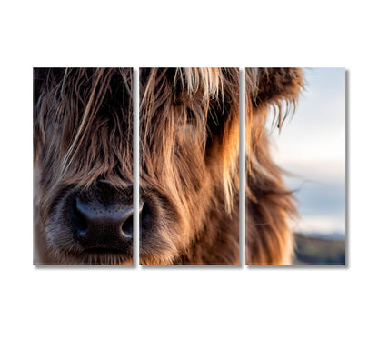 Scotland Highland Cows Canvas for Wall Decoration-Canvas Print-CetArt-3 Panels-36x24 inches-CetArt