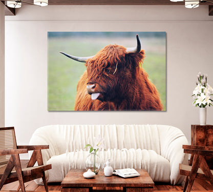 Cute Highland Cow Home Art Decor-Canvas Print-CetArt-1 Panel-24x16 inches-CetArt