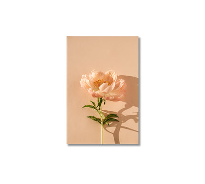 Delicate Beige Peony Flower Canvas Print-Canvas Print-CetArt-1 panel-16x24 inches-CetArt