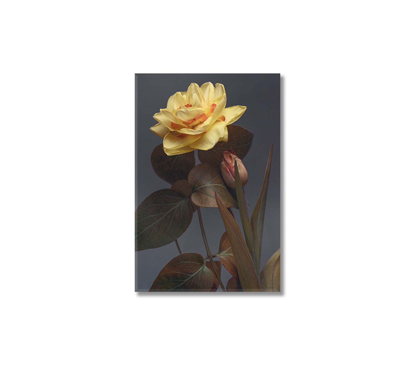 Daffodil Flower Trendy Canvas Interior Gift-Canvas Print-CetArt-1 panel-16x24 inches-CetArt