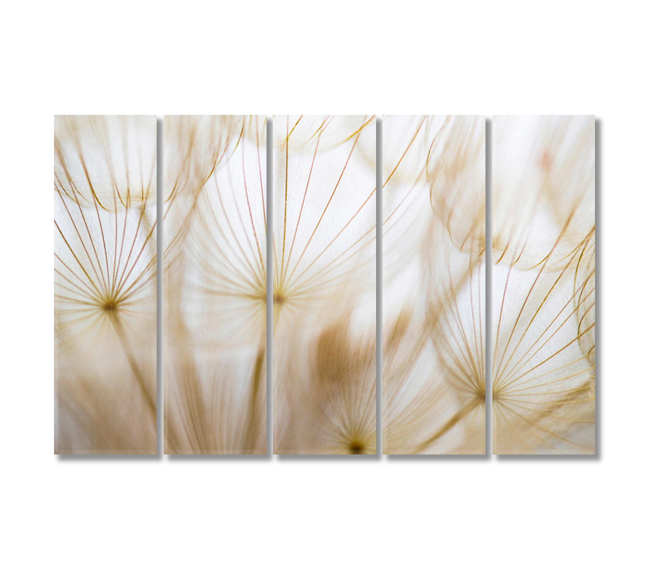 Beige Dandelion Canvas Art Decor-Canvas Print-CetArt-5 Panels-36x24 inches-CetArt