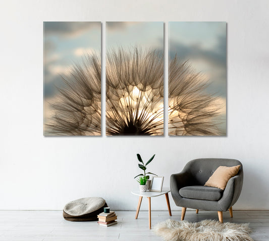 Fluffy Dandelion Flower Interior Canvas-Canvas Print-CetArt-1 Panel-24x16 inches-CetArt