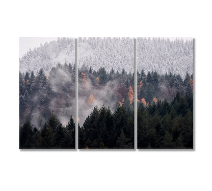 Black Forest Canvas for Wall Decoration-Canvas Print-CetArt-3 Panels-36x24 inches-CetArt