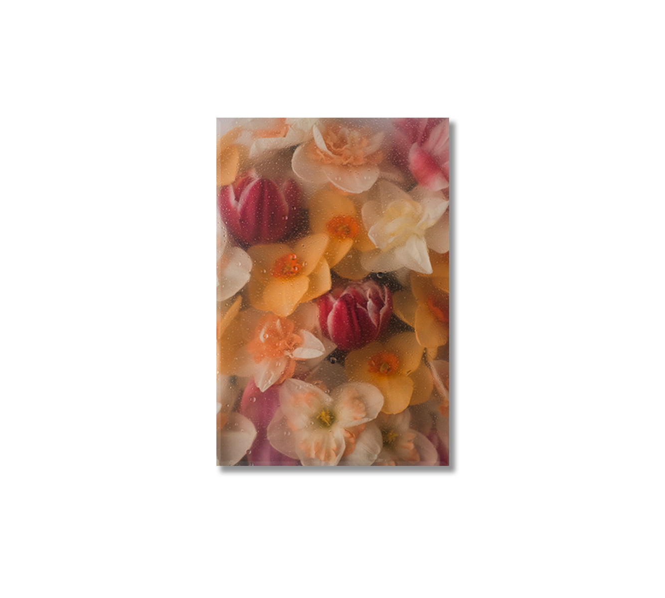 Flowers Under Wet Glass Wall Art-Canvas Print-CetArt-1 panel-16x24 inches-CetArt