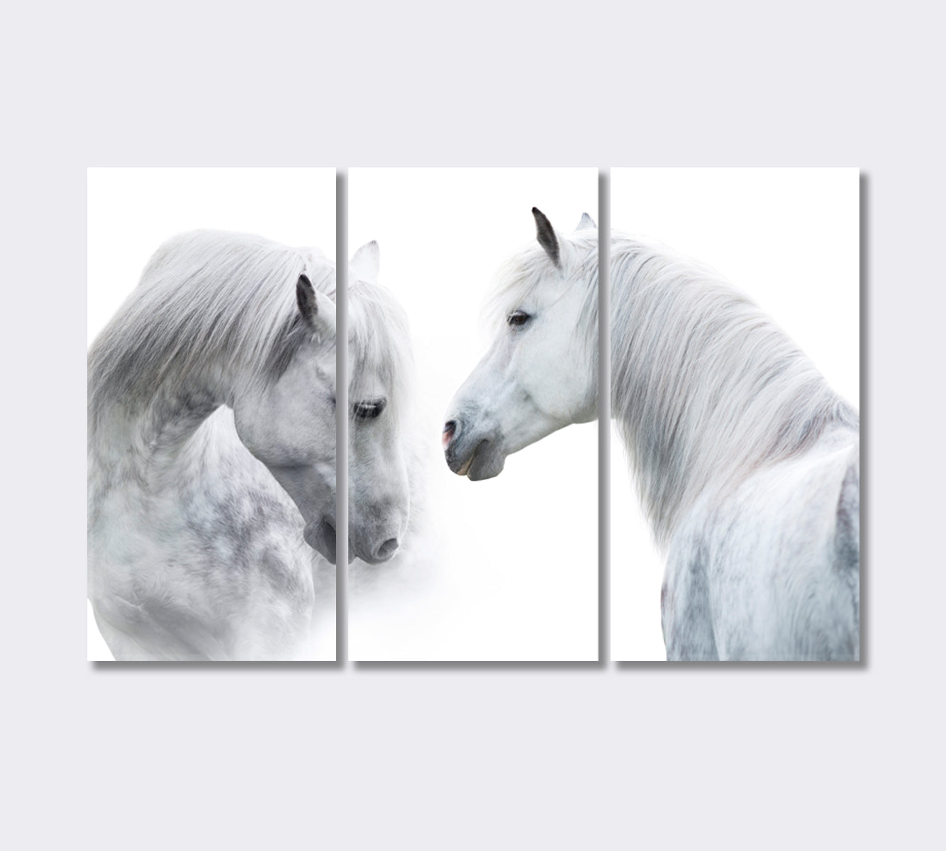 White Horses Portrait Giclee Print-Canvas Print-CetArt-3 Panels-36x24 inches-CetArt