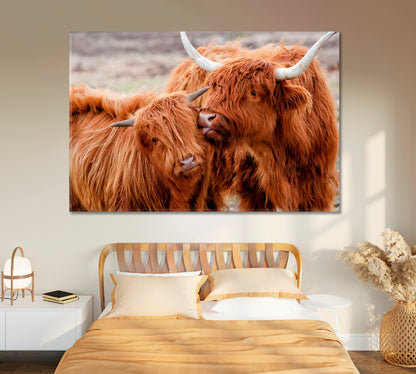 Highland Cow Family Art For Home-Canvas Print-CetArt-1 Panel-24x16 inches-CetArt