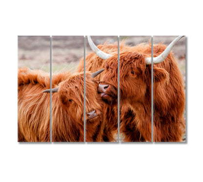 Highland Cow Family Art For Home-Canvas Print-CetArt-5 Panels-36x24 inches-CetArt